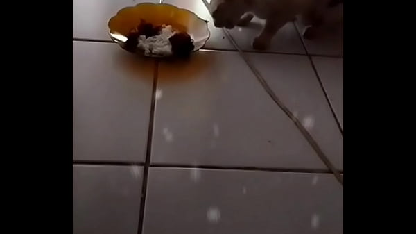 Anita Si Binal, Siap Dimainin Kapan Aja.