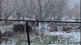 Randi Saas Pengen Ngeces Kontol.