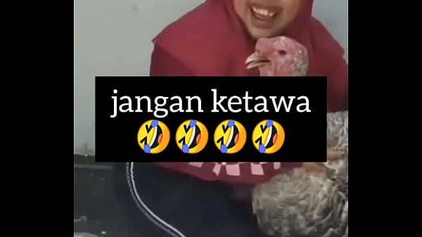 Gadis Montok Ngekek Penuh Birahi